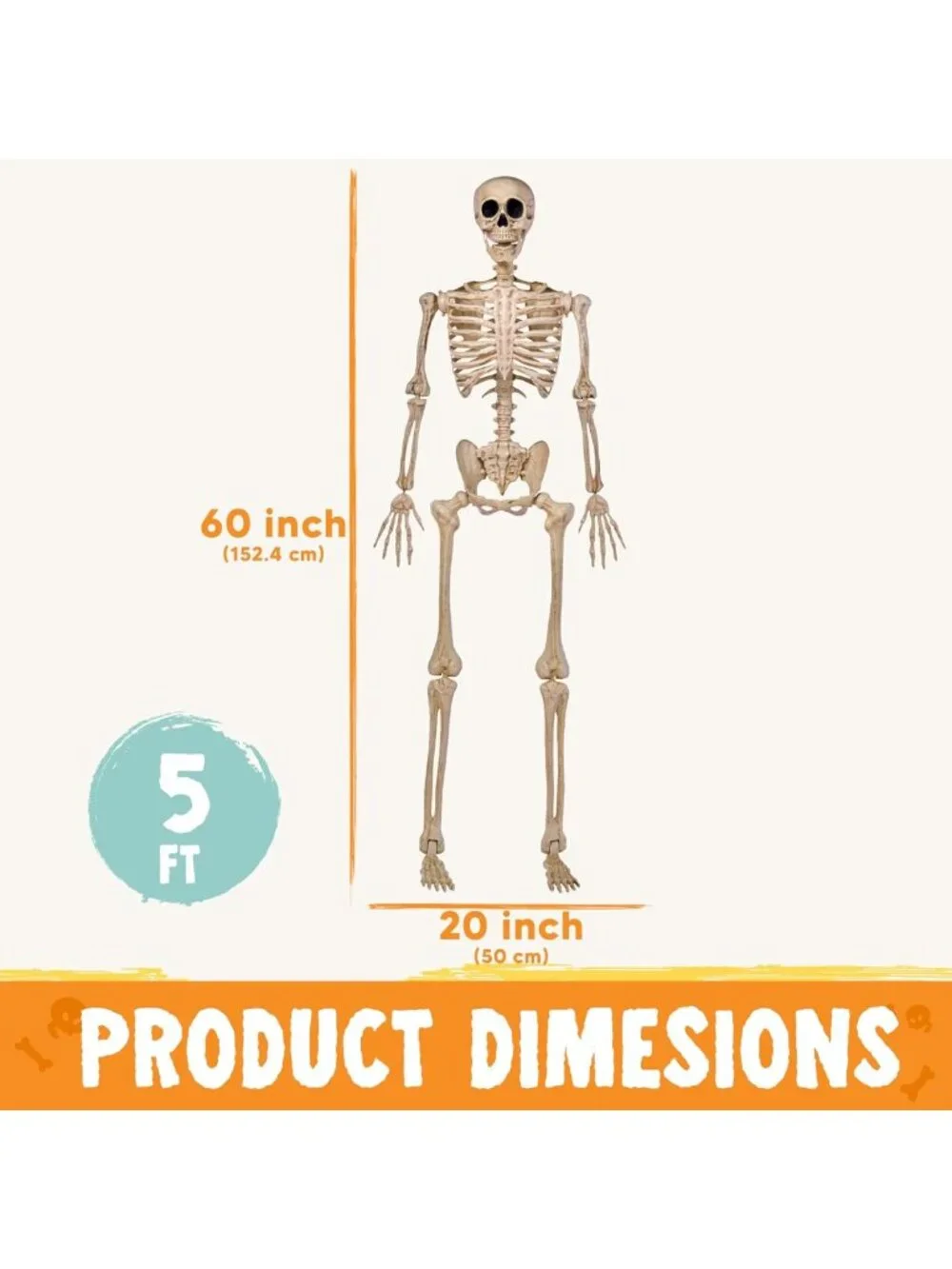 Life-Size 5FT Posable Skeleton Decor | Movable Joints for Halloween Parties